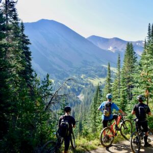 three person riding on bicycles during daytime