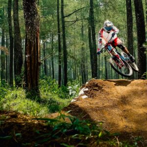 man riding bike doing stunt near green trees during daytime