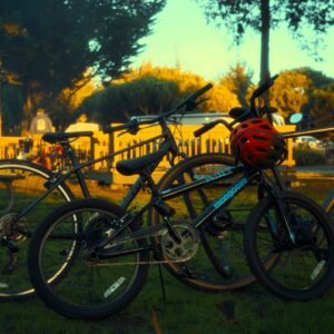 Three bicycles parked on grassy area with trees.