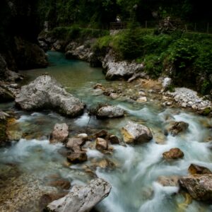 gravel - river in the middle of forest during daytime